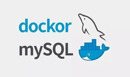 使用 Docker 运行 MySQL