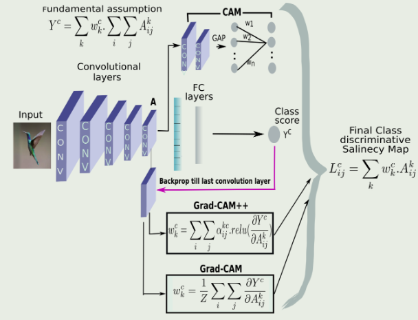 image-20240531172032414