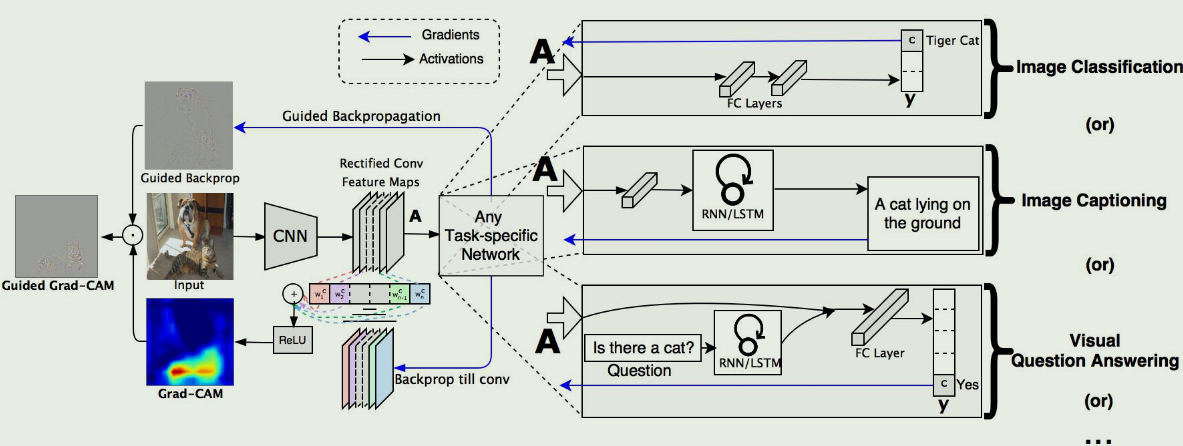 image-20240531162743950