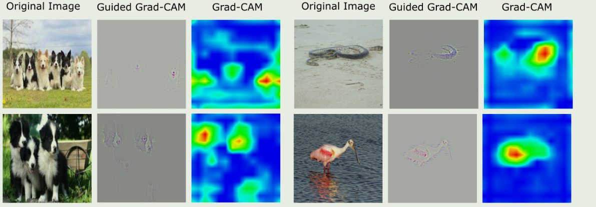 image-20240531170624521