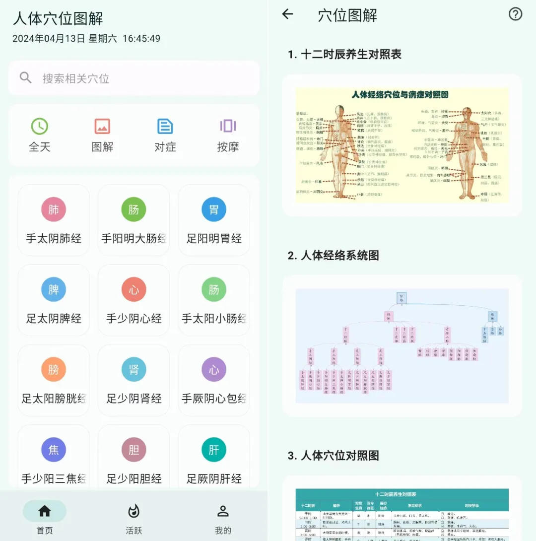 人体穴位图解