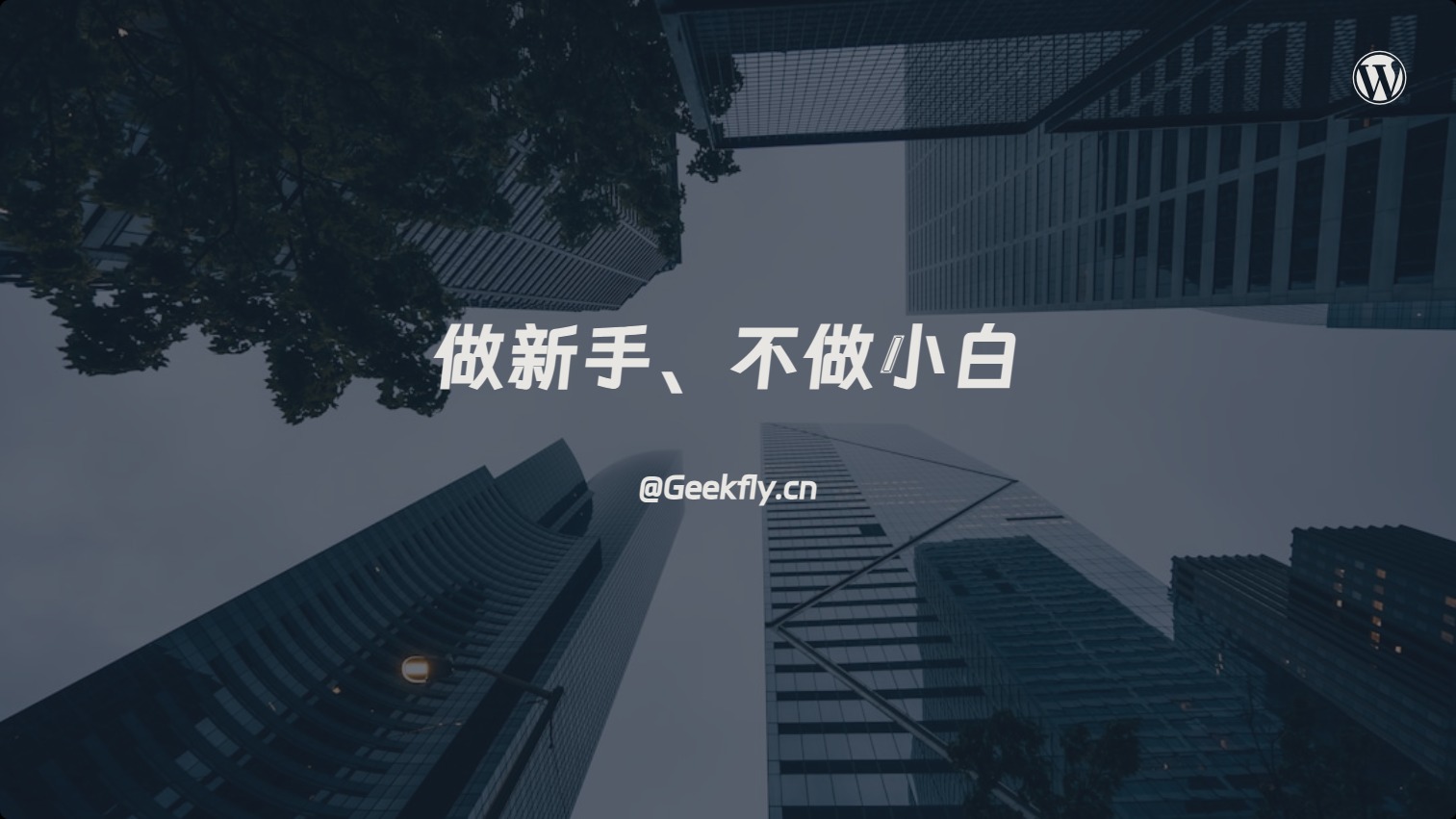 新手独立站笔记 - 01:做新手、不做小白