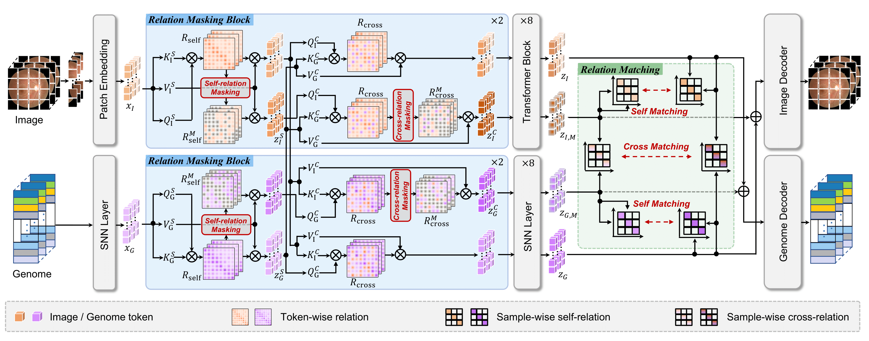 Paper 1 Image