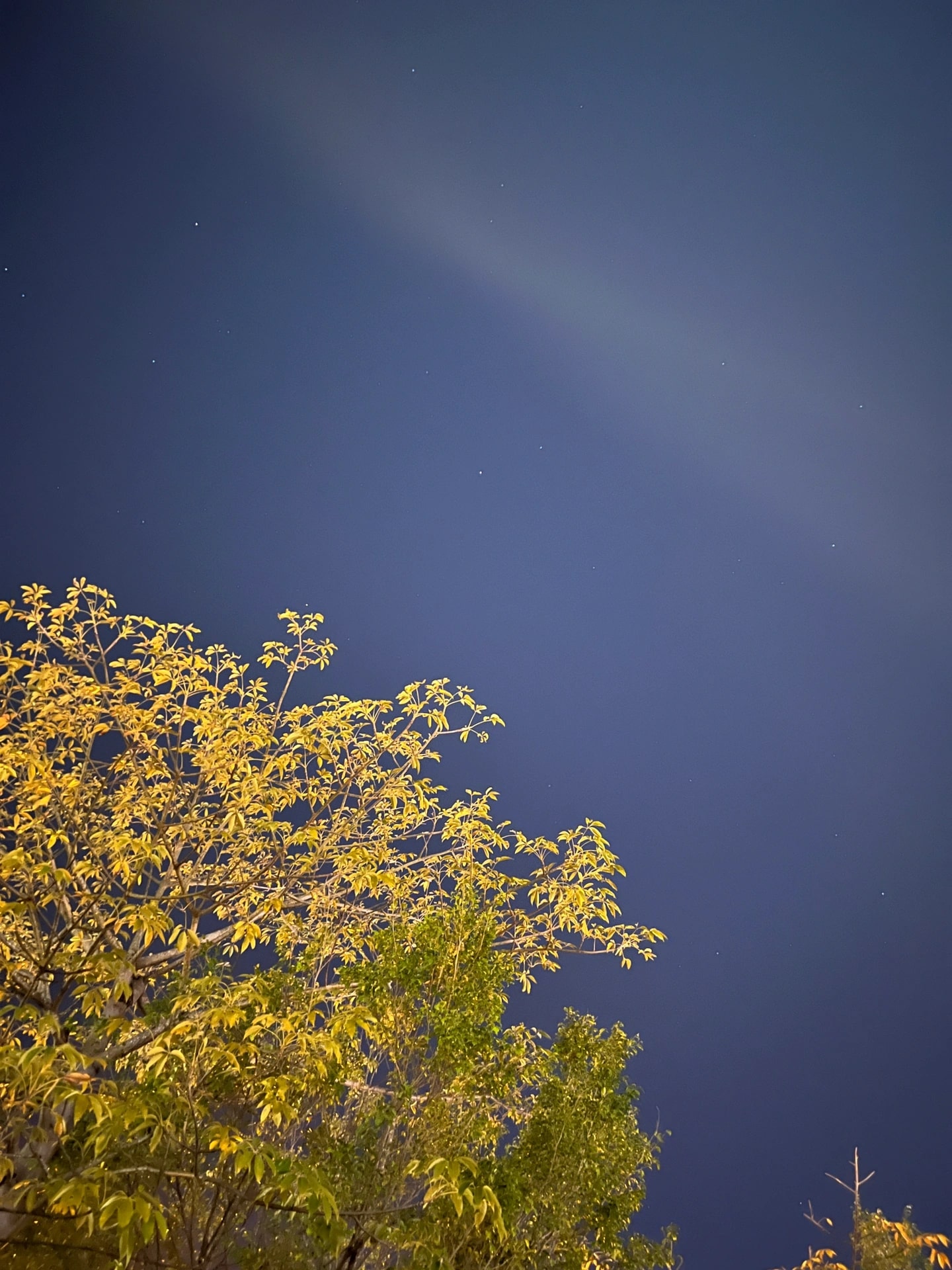 Enhanced detail in the sky and trees captured at night using the iPhone's Night Scene mode