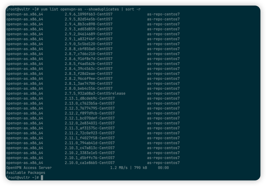 image-20240625033359487