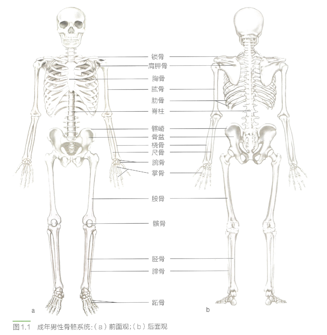 image-20240626165226078
