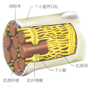 image-20240627214635517