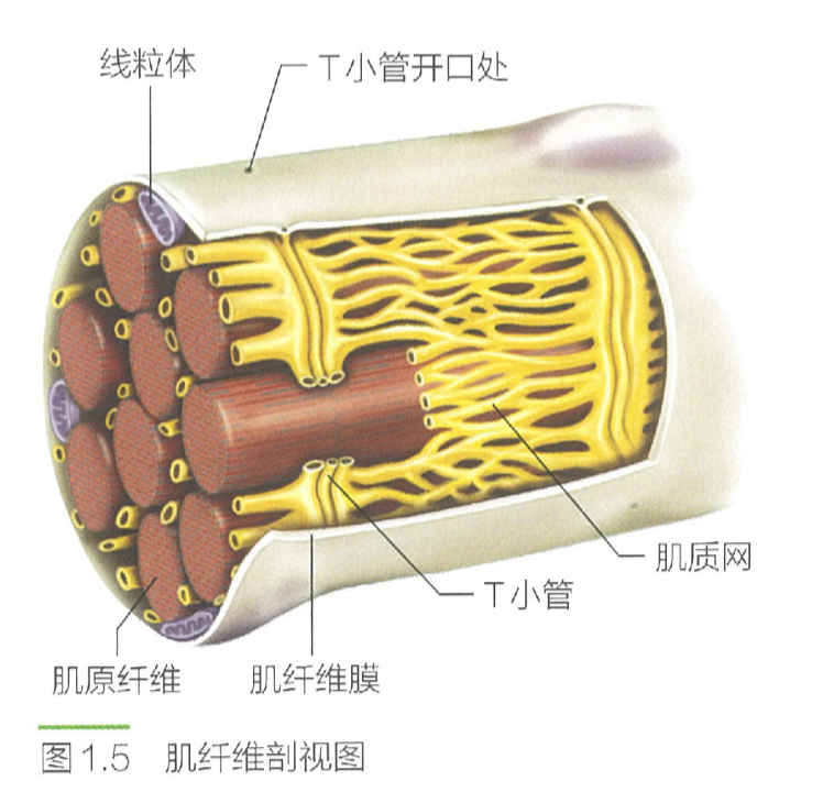 image-20240627170900885