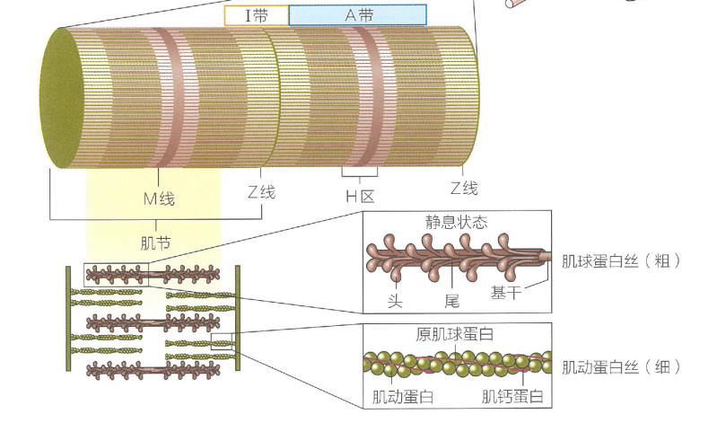 image-20240627213053875