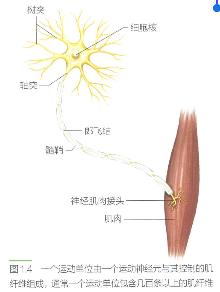 image-20240627170824347