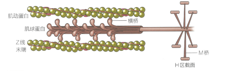 image-20240627212844449