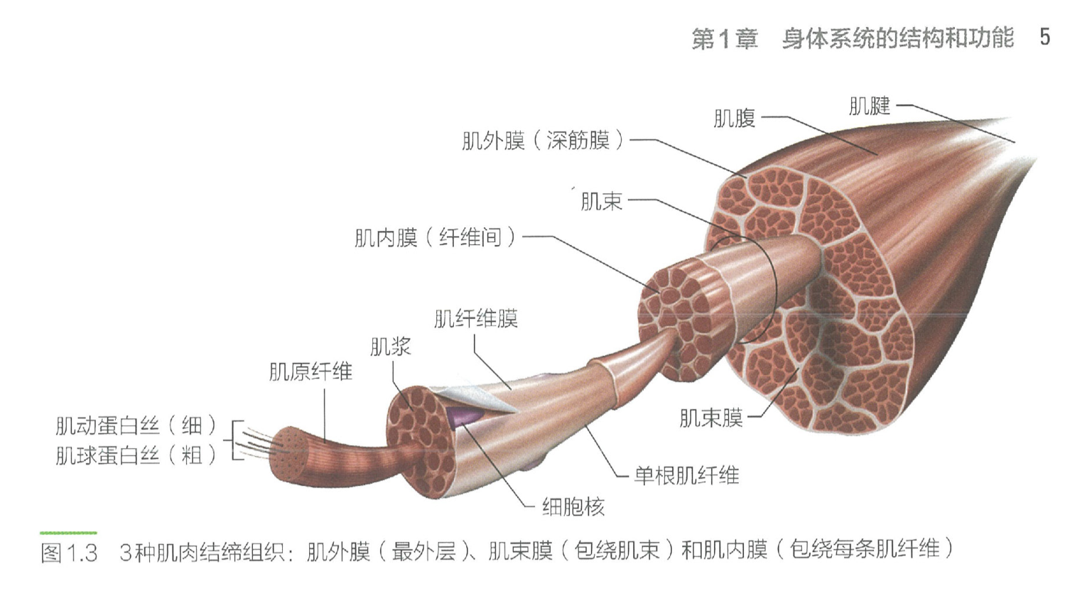 image-20240627170145221