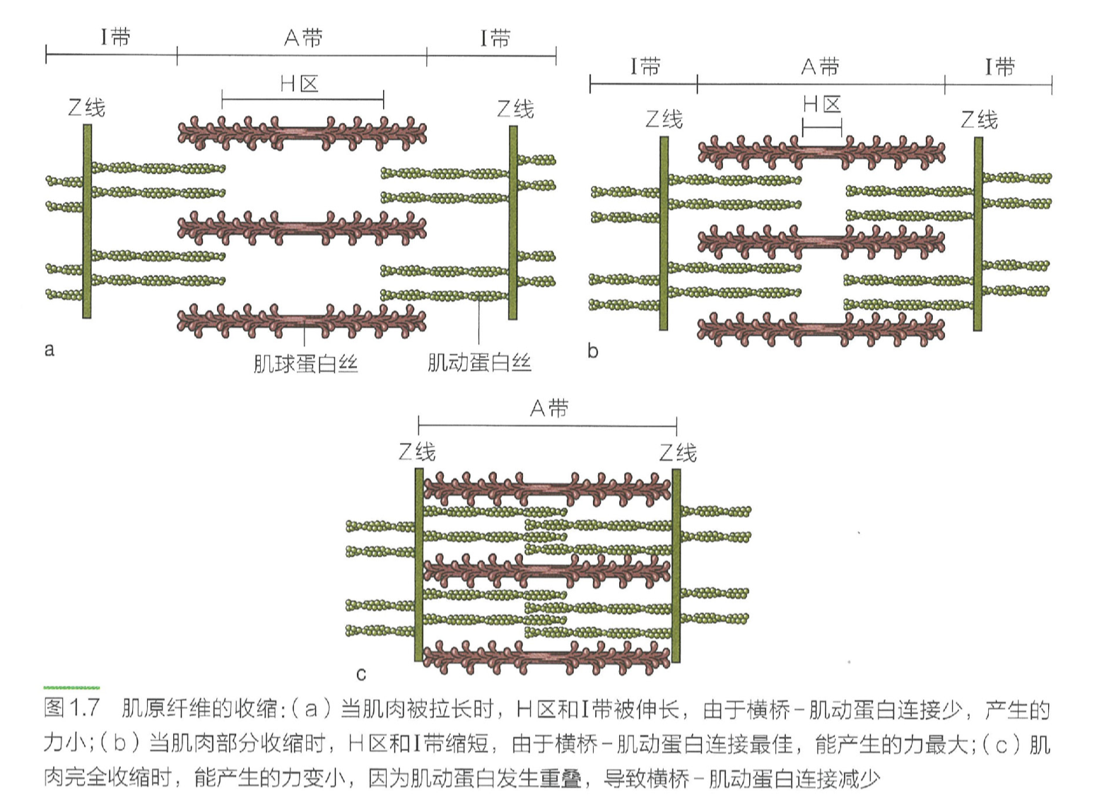 image-20240628094408155