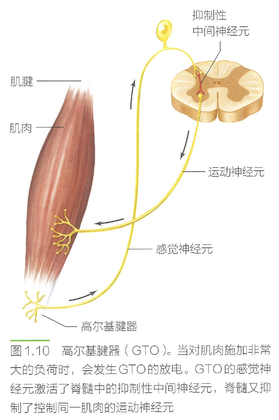 image-20240628160138329