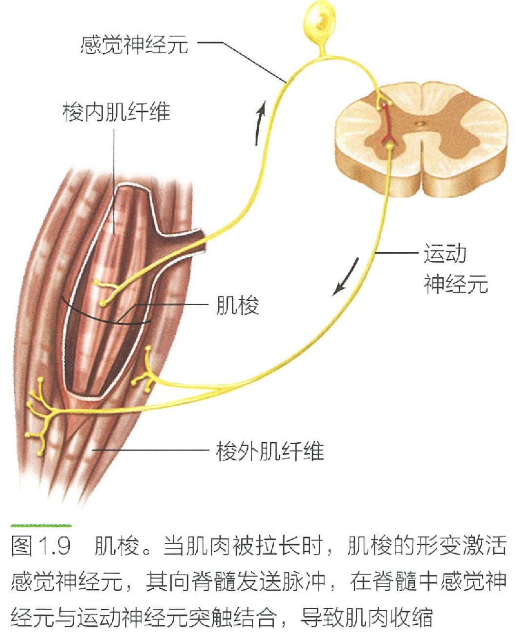image-20240628154024029