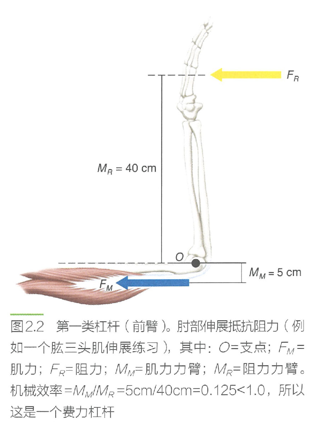 image-20240702170022425