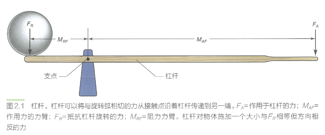image-20240702105650599