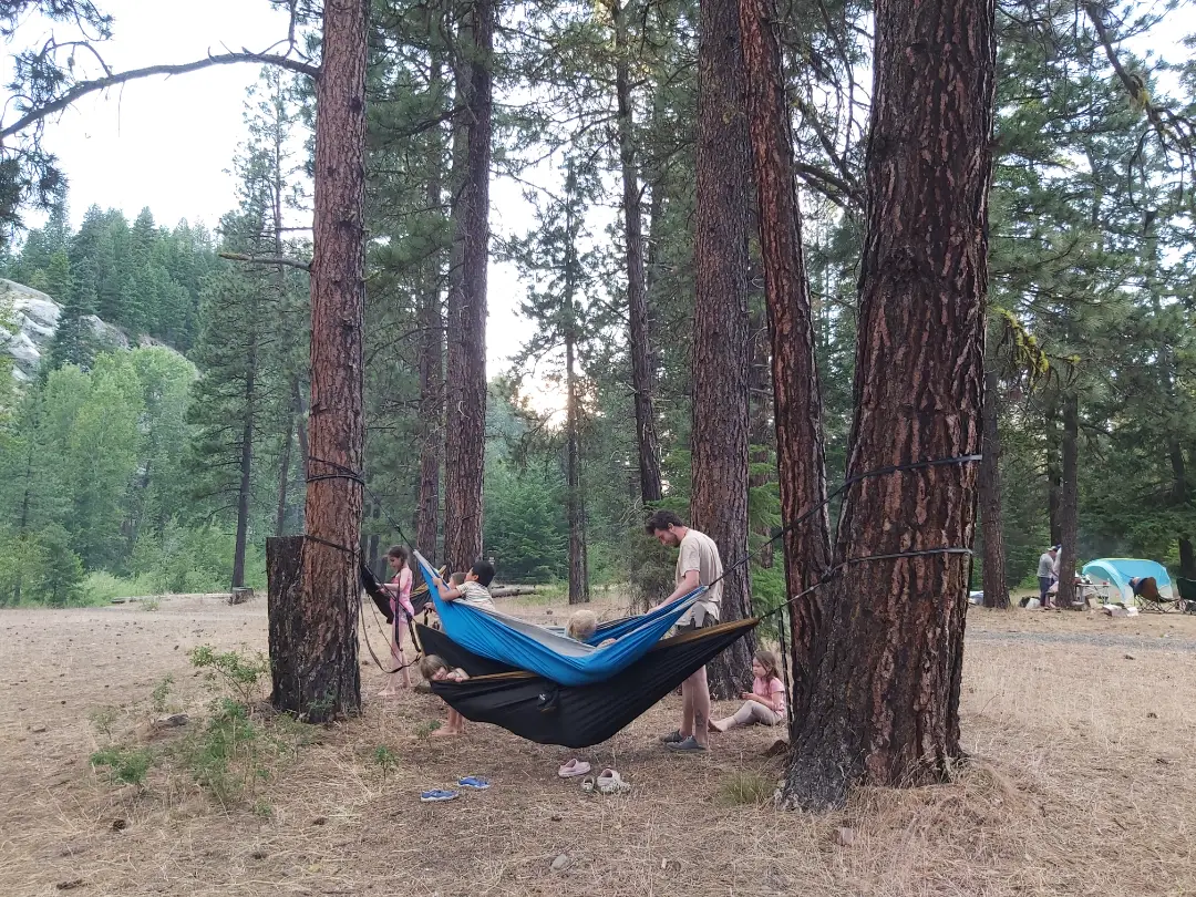 20240622_hammock.webp