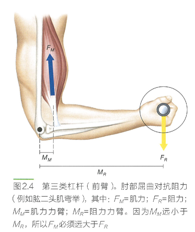 image-20240703104528617