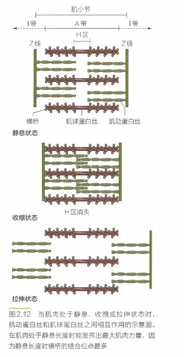 image-20240708214610190