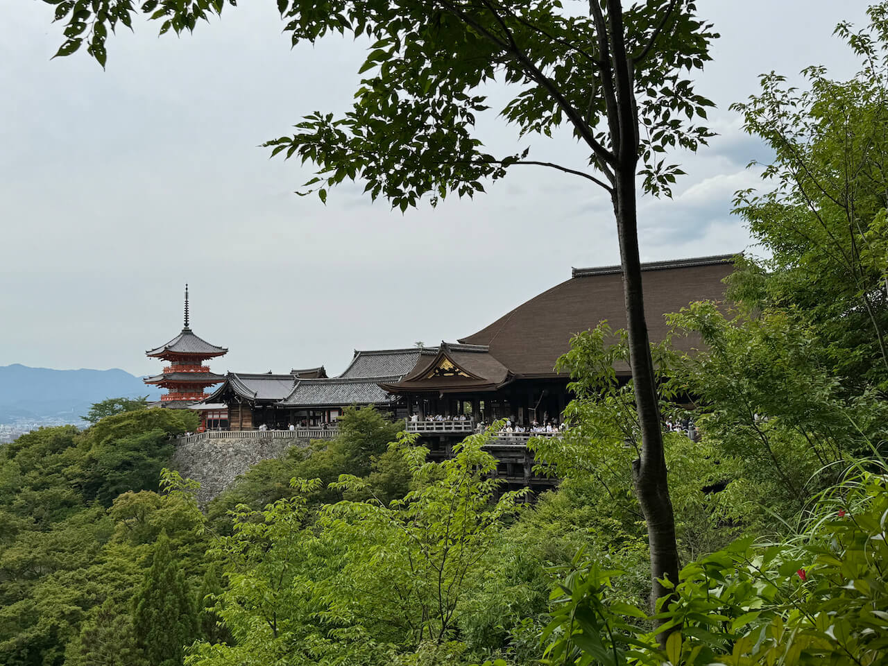 Kiyomizu-dera