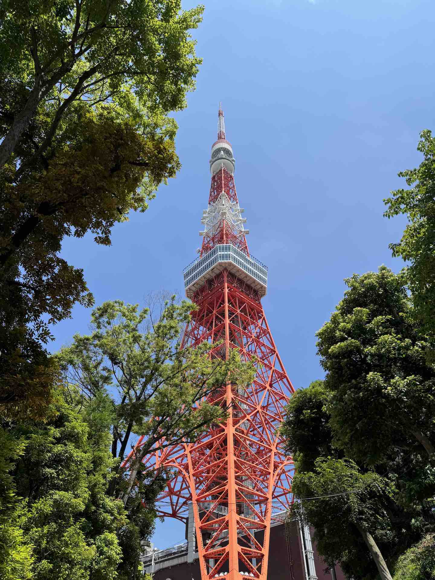 View from Under Tokyo Tower