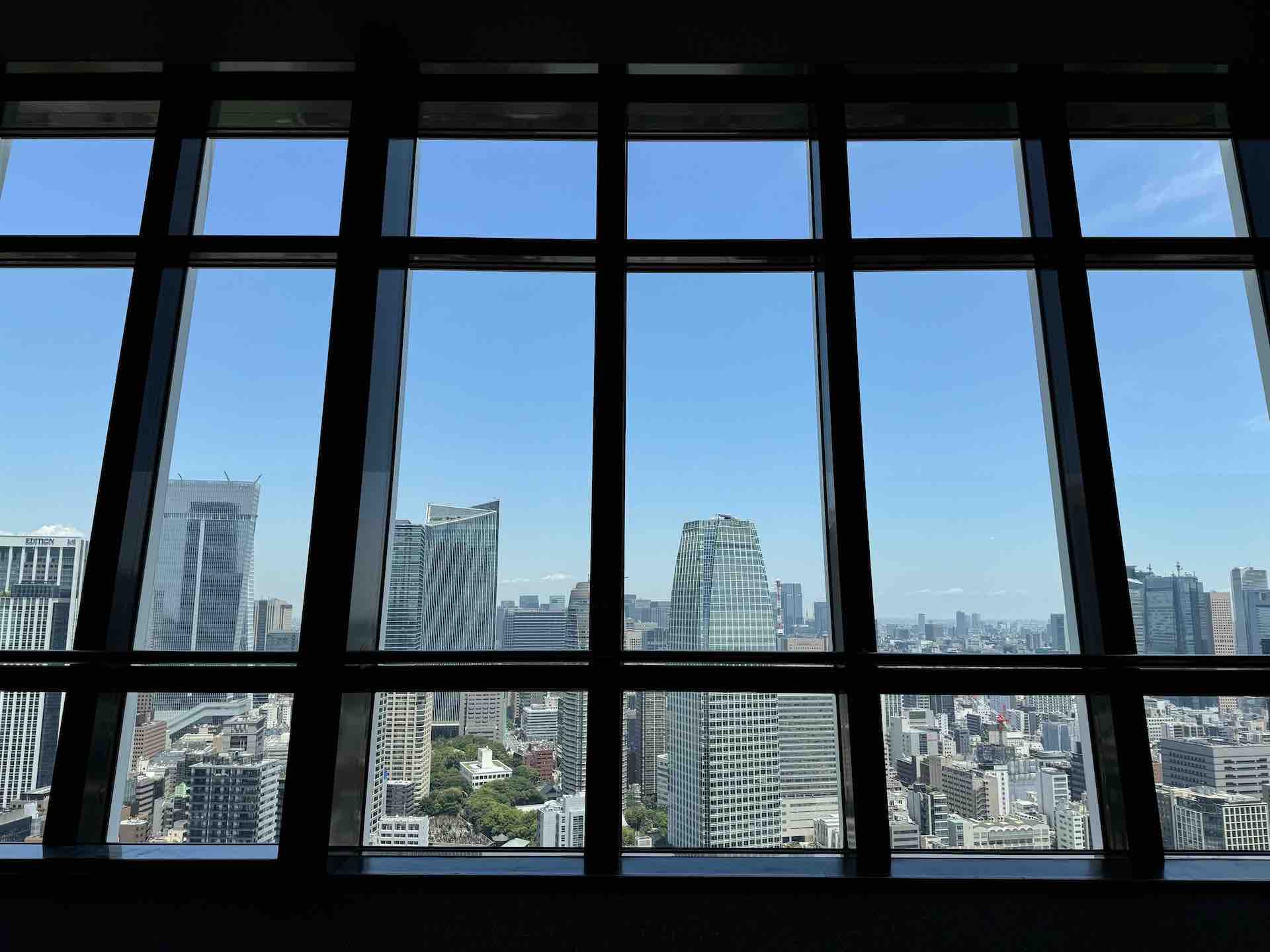 View from Tokyo Tower's Observation Deck