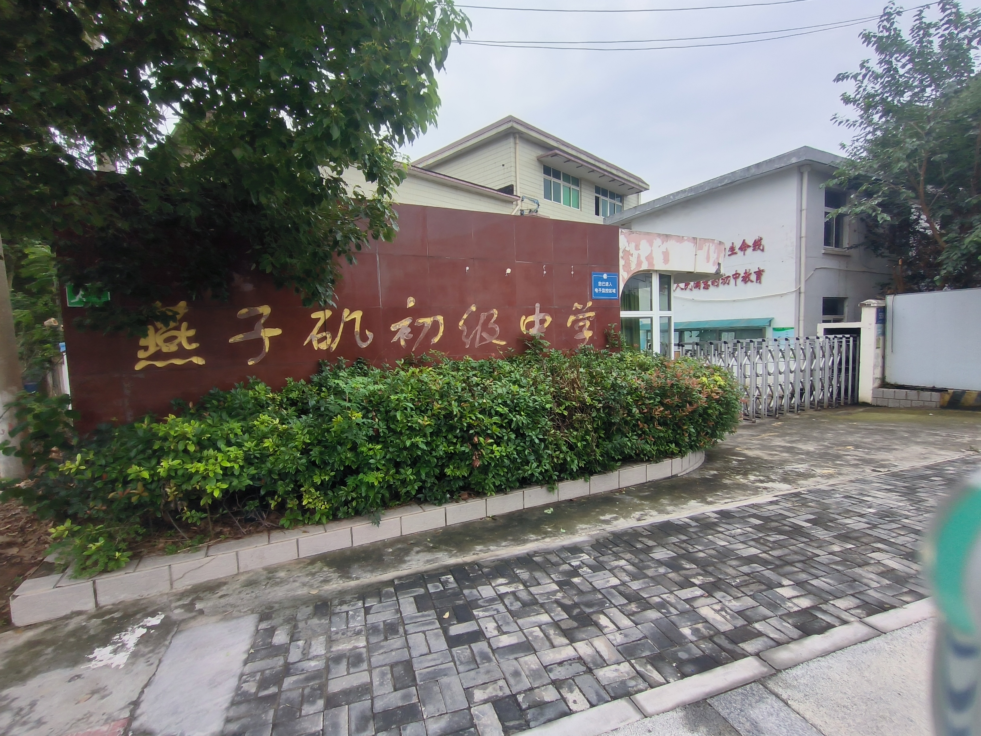 IMG20240715101851jpg