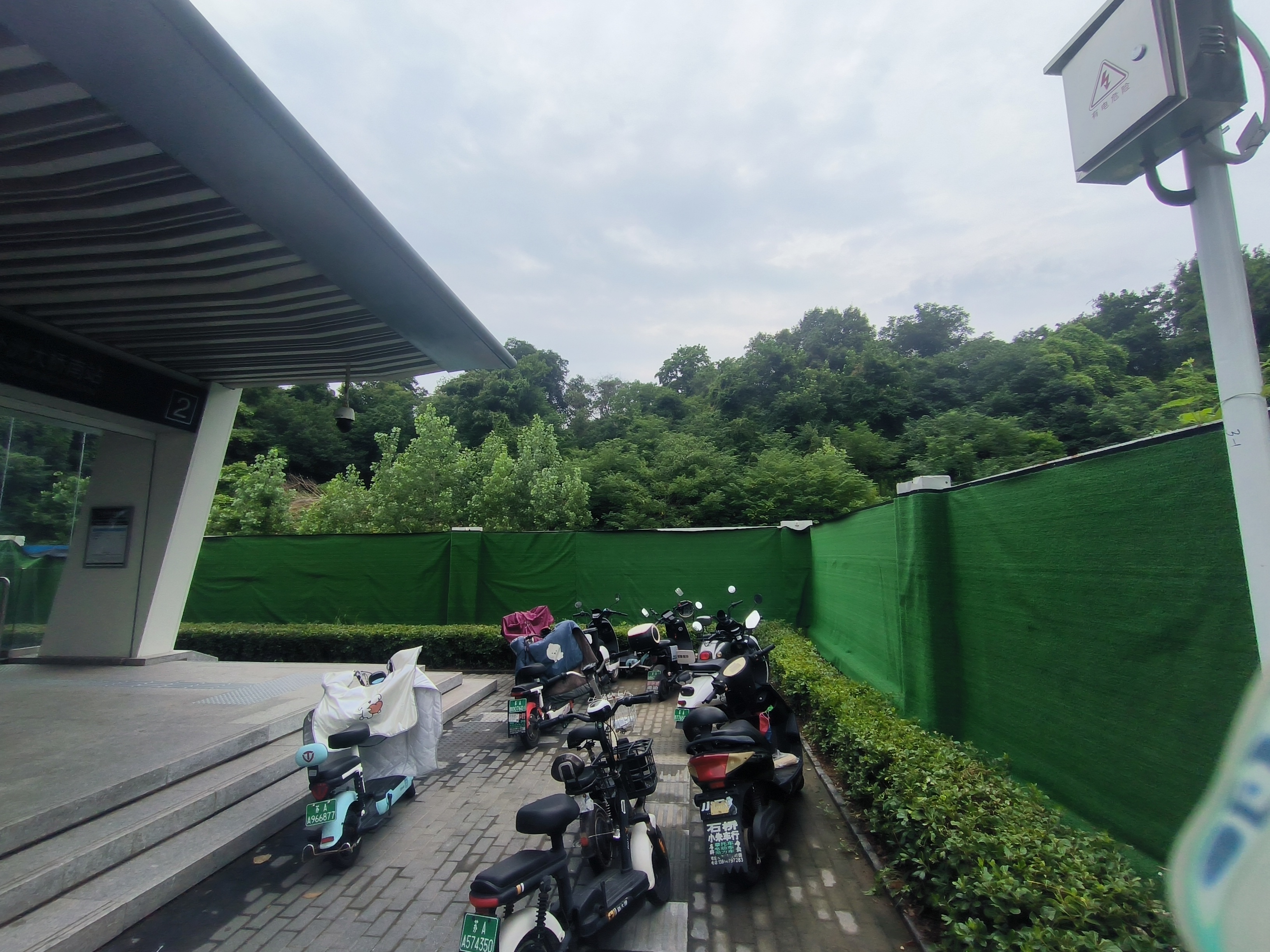 IMG20240715104549jpg