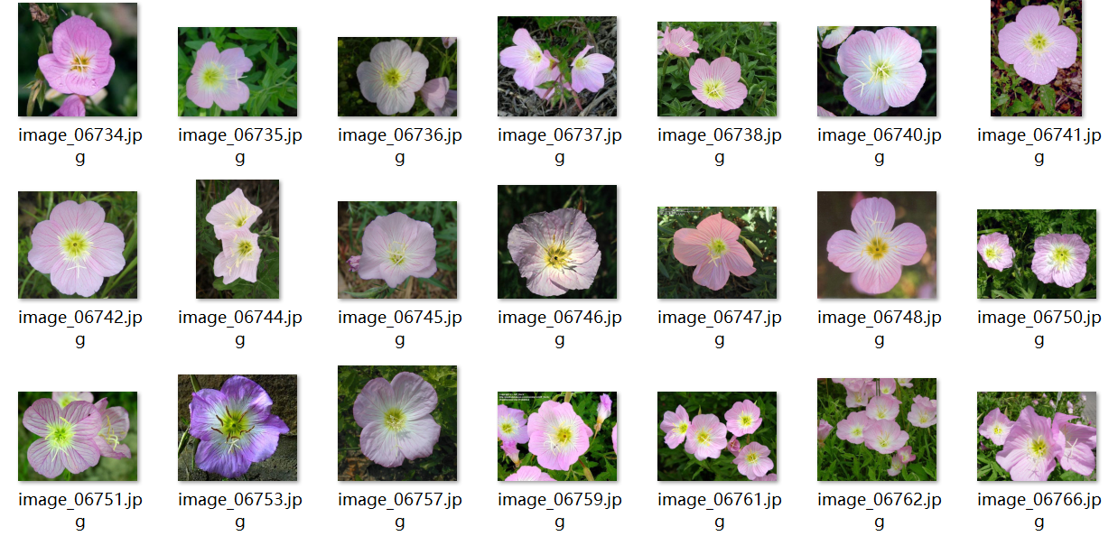 image-20240809113413408