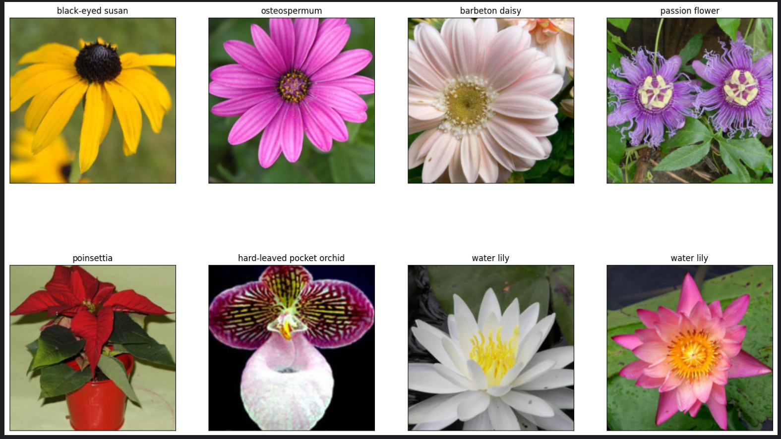 image-20240809143450963