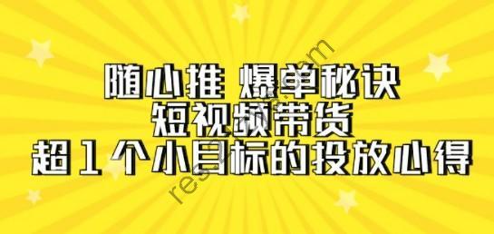 随心推 爆单秘诀，短视频带货-超1个小目标的投放心得（7节视频课）