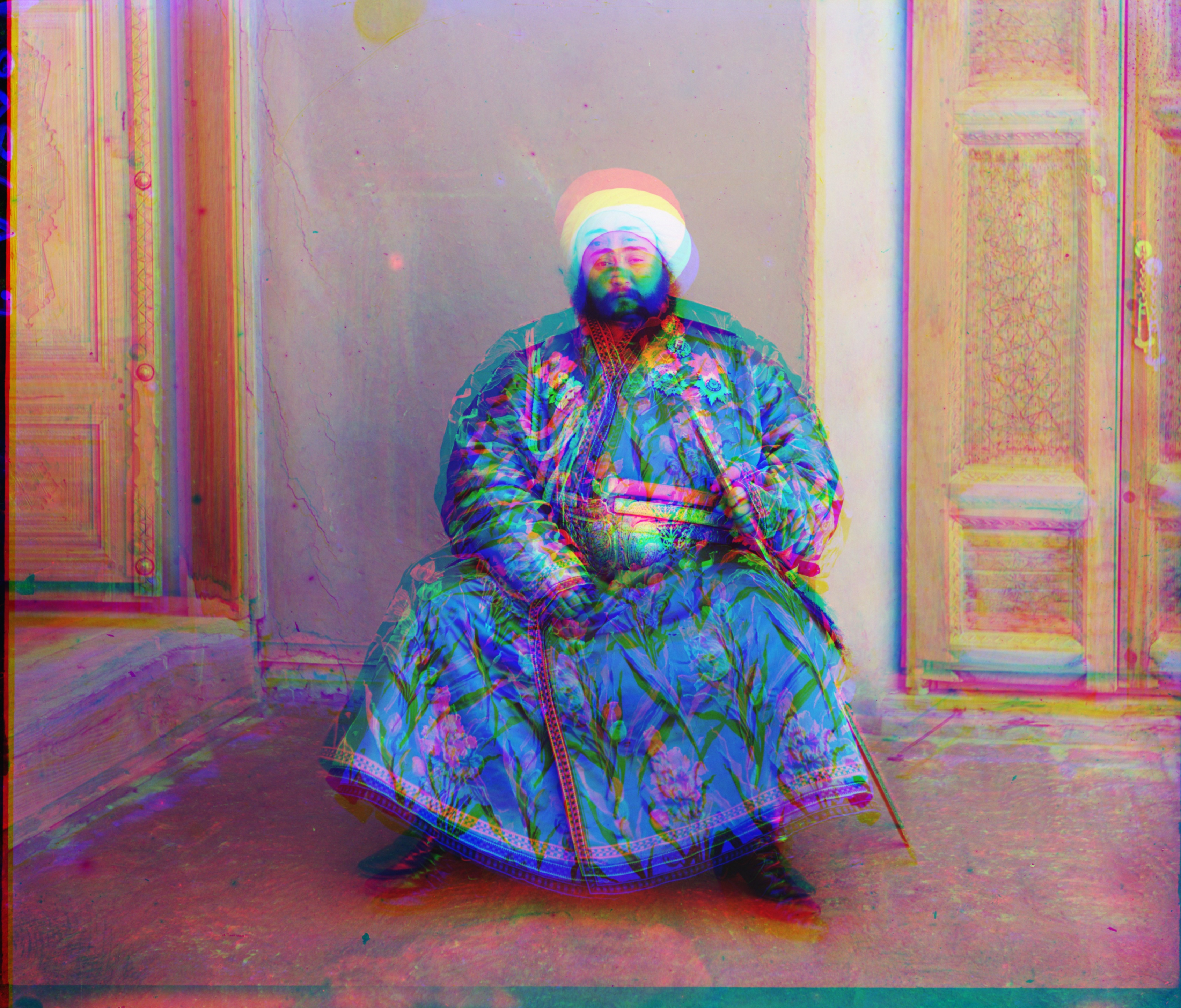 34cropped_color_image_emir.jpg