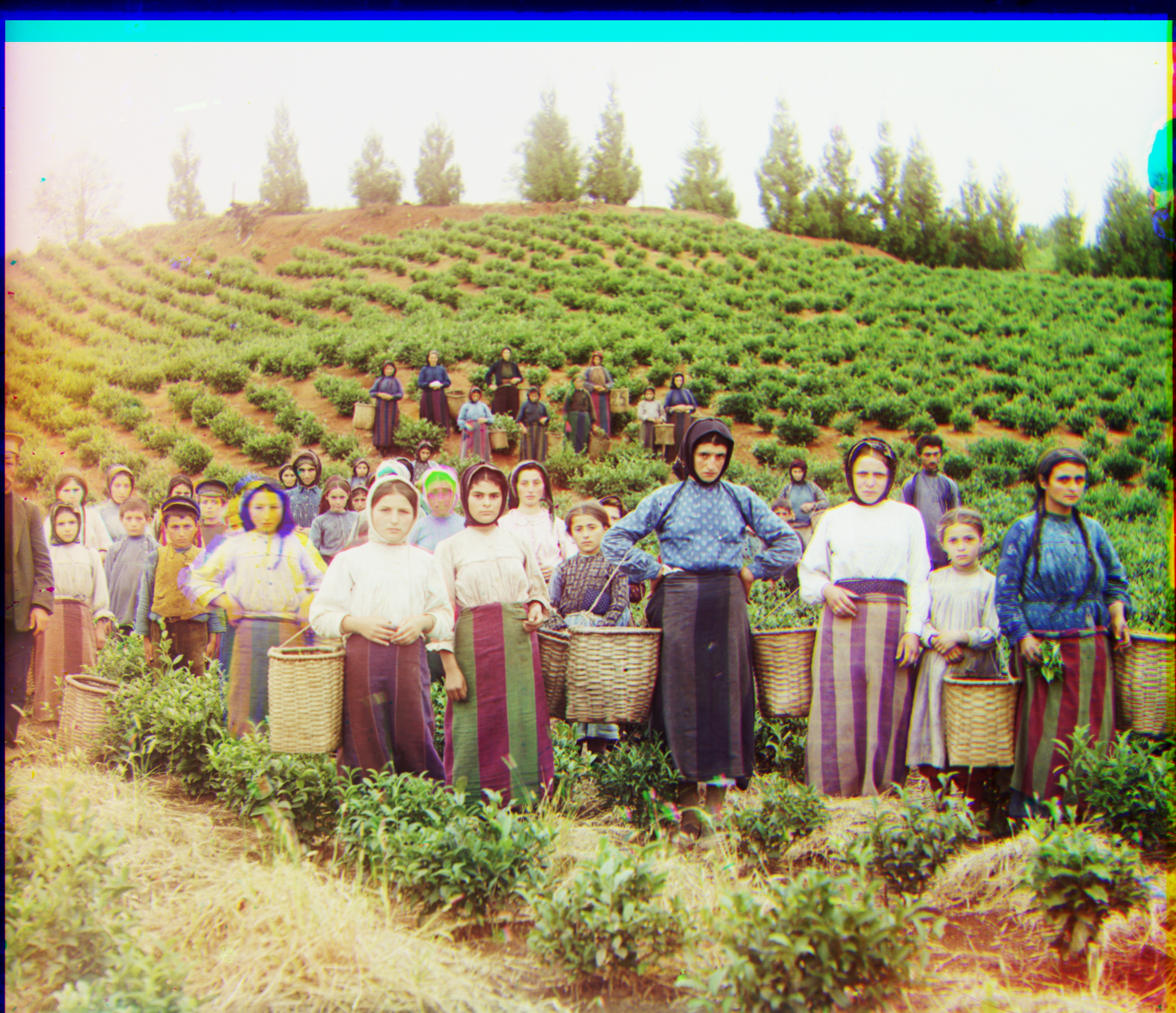 3aligned_color_image_pyramid_harvesters.jpg