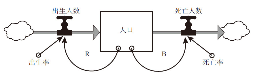 图2—7 人口受出生（增强回路）和死亡（调节回路）的影响