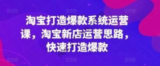 淘宝打造爆款系统运营课