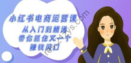 2024小红书-电商运营课，从入门到精通，带你抓住又一个赚钱风口（50节课）