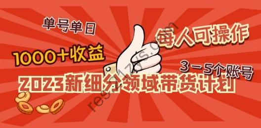 2023新细分领域带货计划：单号单日1000+收益不难，每人可操作3-5个账号