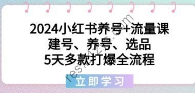 2024小红书养号+流量课：建号、养号、选品，5天多款打爆全流程