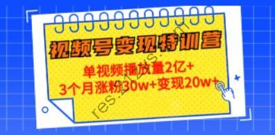 20天视频号变现特训营：单视频播放量2亿+3个月涨粉30w+变现20w+