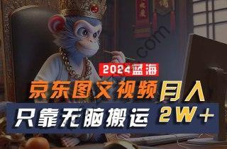 2024最新蓝海项目，京东图文视频
