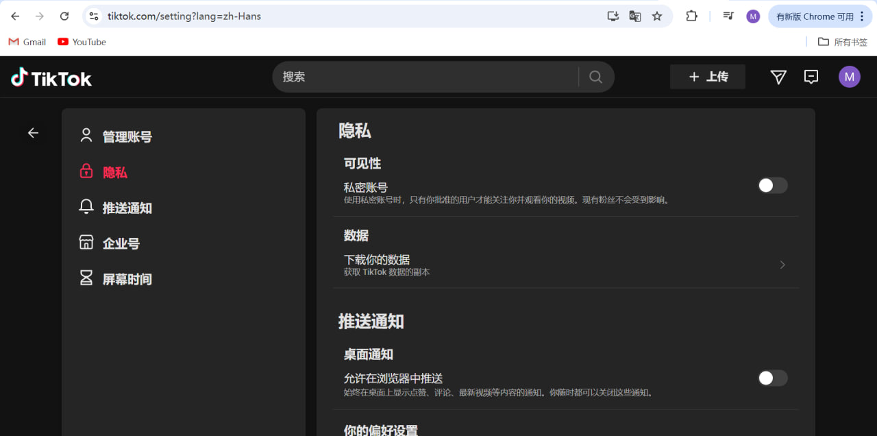 TikTok 隐私设置示例