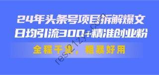 24年头条号项目拆解爆文，日均引流300+精准创业粉，全程干货，粗暴好用