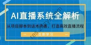 AI直播系统全解析：从项目脚本到话术完善，打造高效直播流程