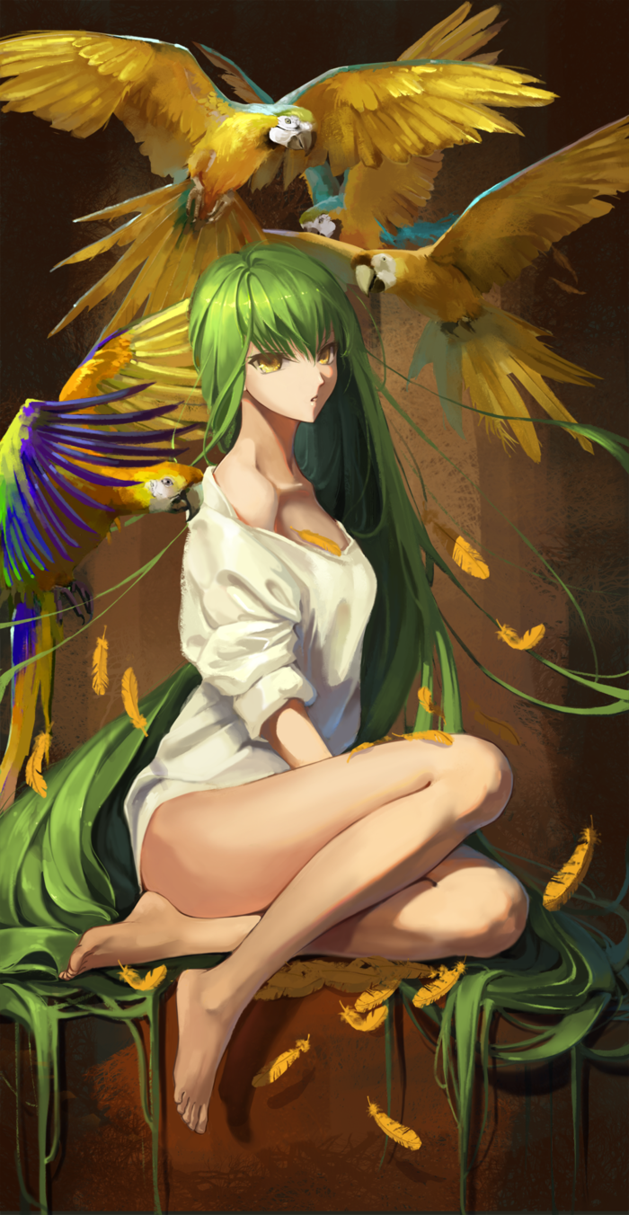 b98d6bd9a093acc032248874fd413b45.png