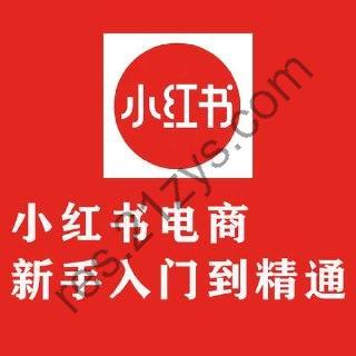 【小红书电商实操课】新手从入门到精通