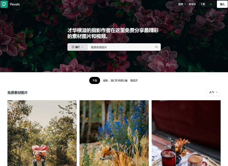 Pexels：免费高质量图片和视频素材的宝库，高质量且无版权图片和视频素材