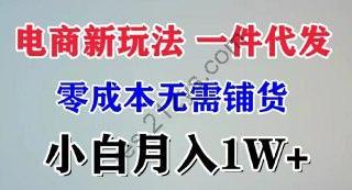 电商新玩法 一件代发,零成本无需铺货，小白月入1W+