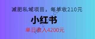 【小红书减肥私域项目】每单210元，单日可卖出15单，利润3150